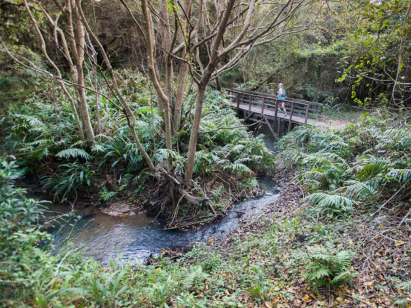 The Orchards -Freehold sites - Photo 9