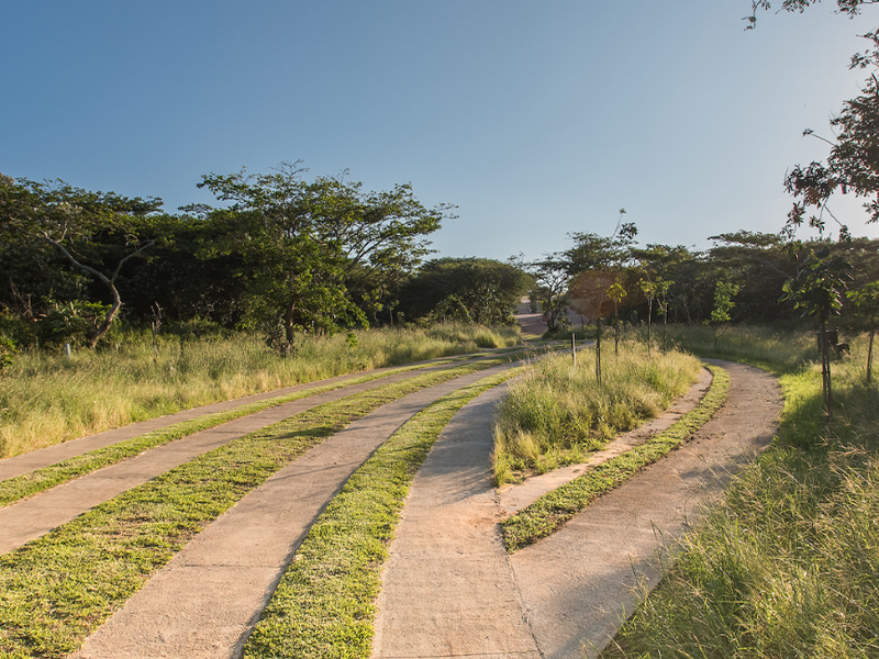 The Paddocks - Photo 1