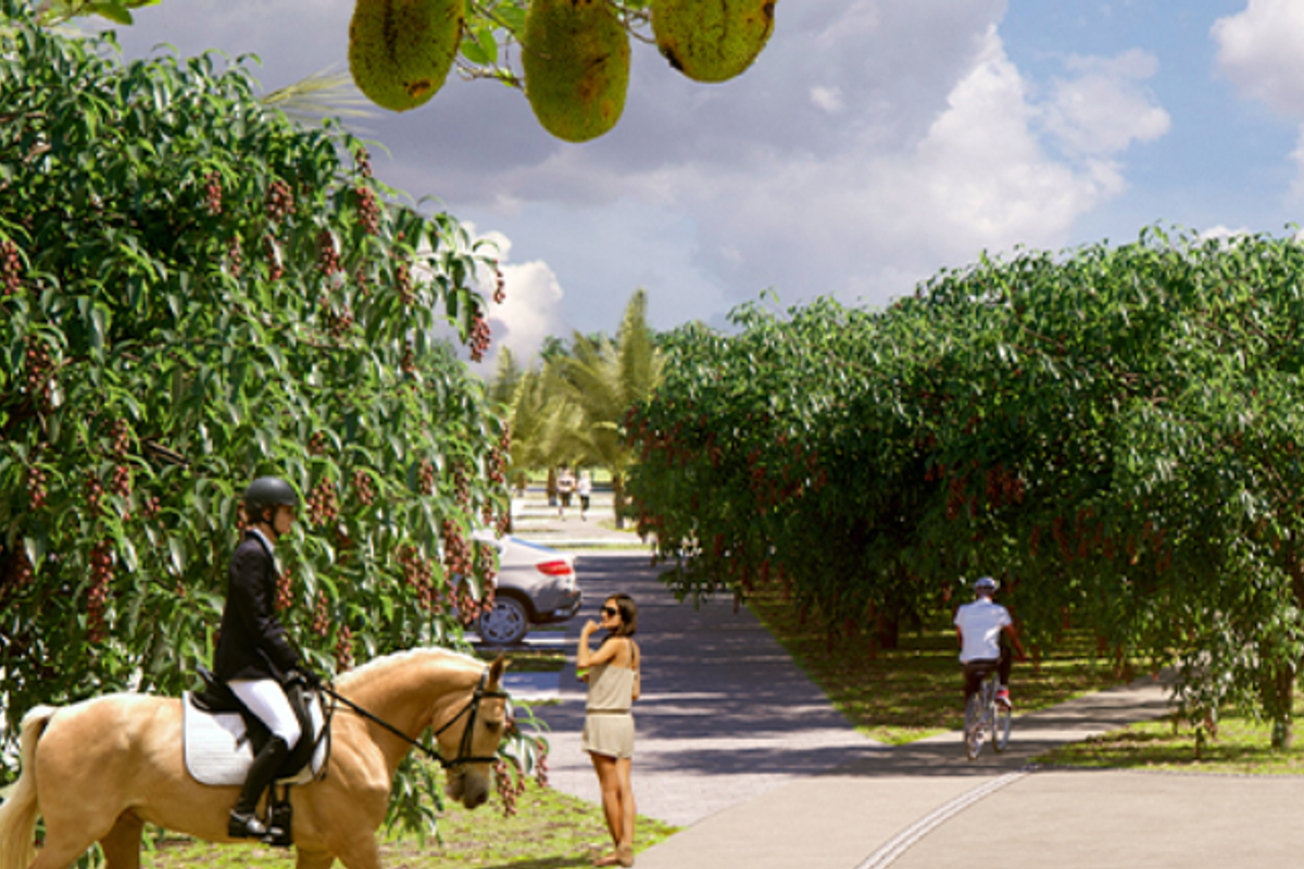 A scenic view of a well-maintained orchard featuring rows of fruit trees and a paved pathway, ideal for outdoor recreation.