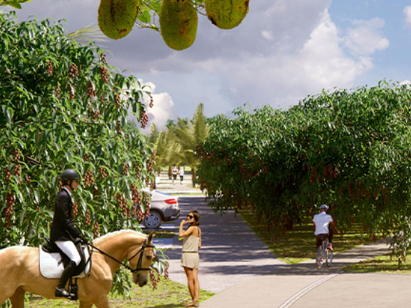 The Paddocks - Photo 2