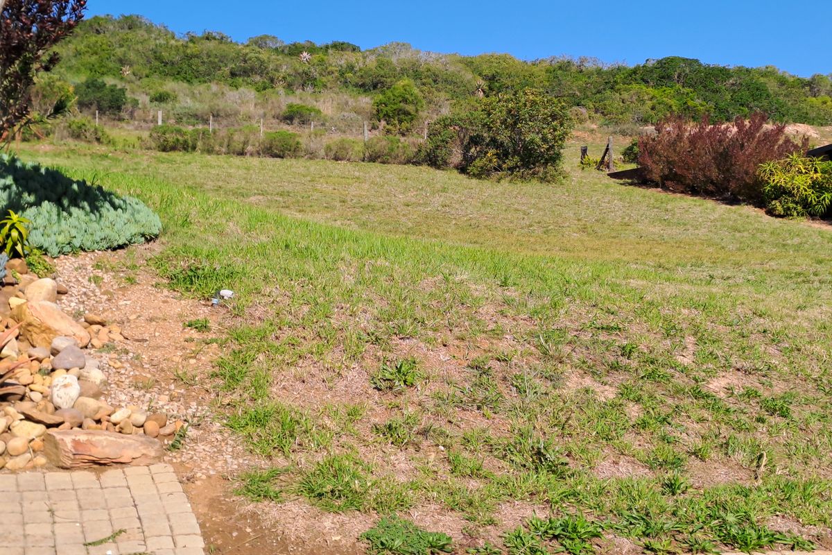 A sloped residential plot featuring natural grass, established shrubs, a paved border, and a wire fence boundary.