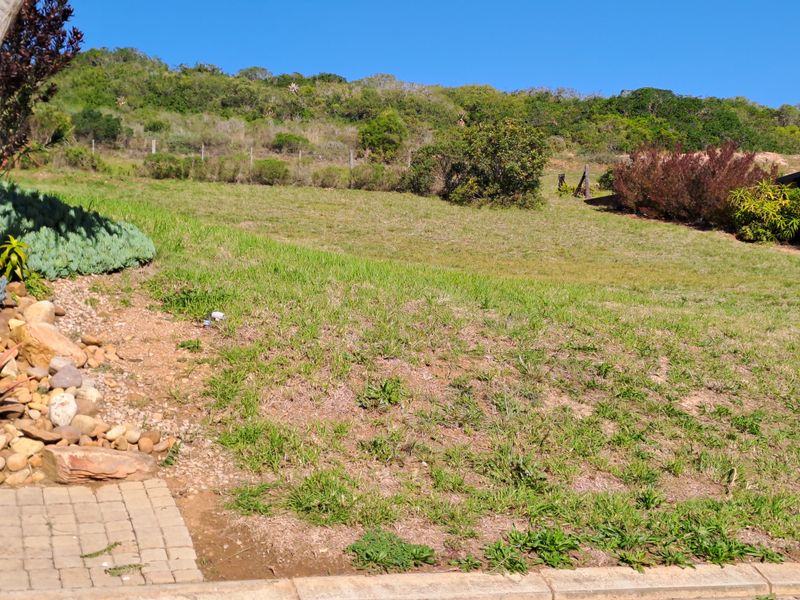 A sloped residential plot featuring natural grass, established shrubs, a paved border, and a wire fence boundary.