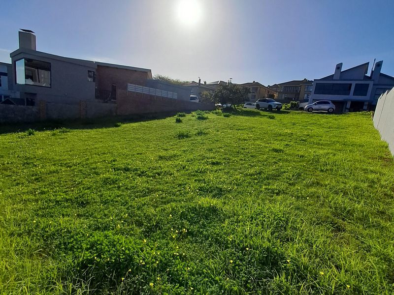 A vacant residential plot featuring a grass lawn and boundary walls, situated in a developed neighborhood.