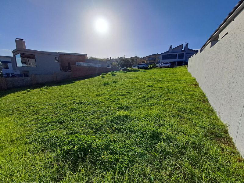 A vacant residential plot featuring a grass lawn and established boundary walls, situated in a developed neighborhood.