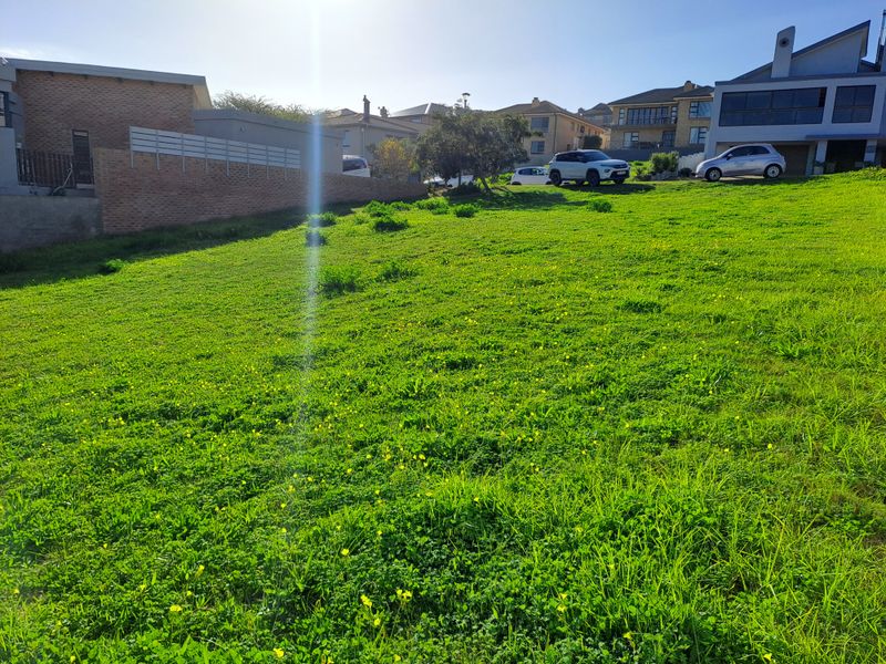 A vacant residential plot featuring a gentle slope and established boundary wall, situated in a developed neighborhood.