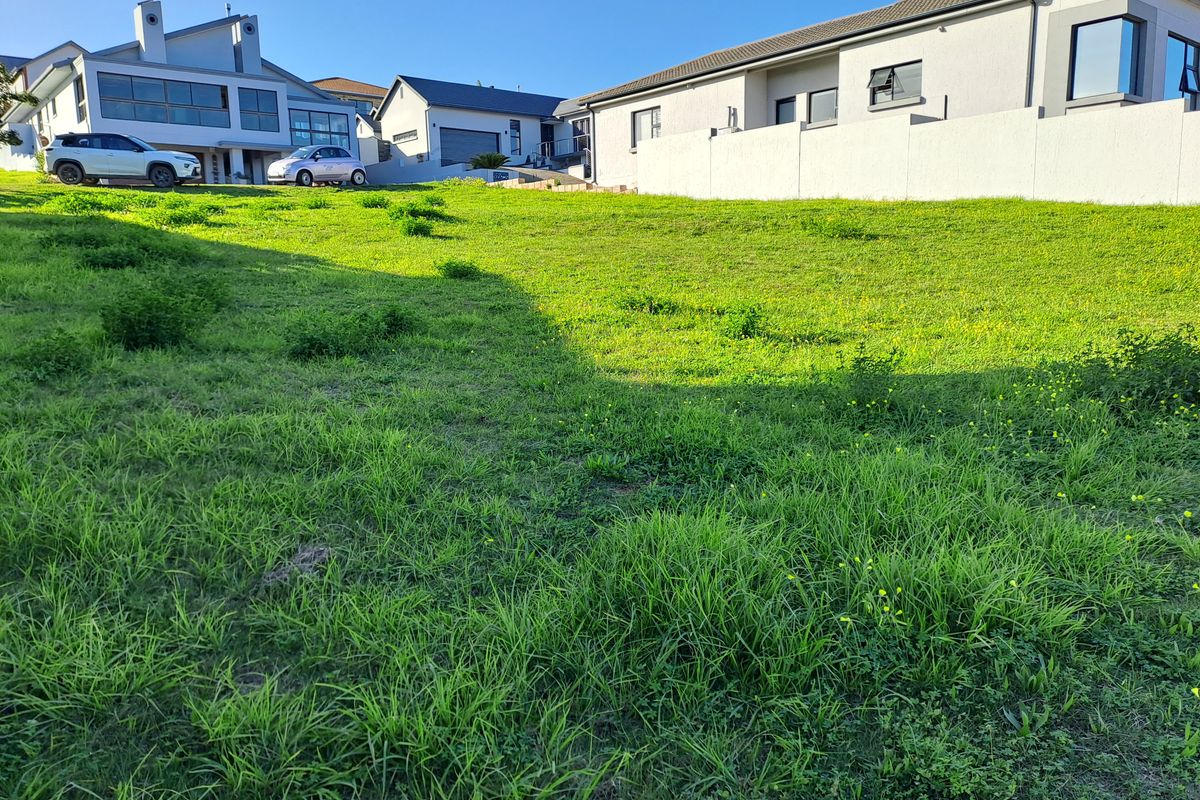 A view of a vacant residential plot featuring a sloped grassy area bordered by existing neighboring boundary walls and residential structures.