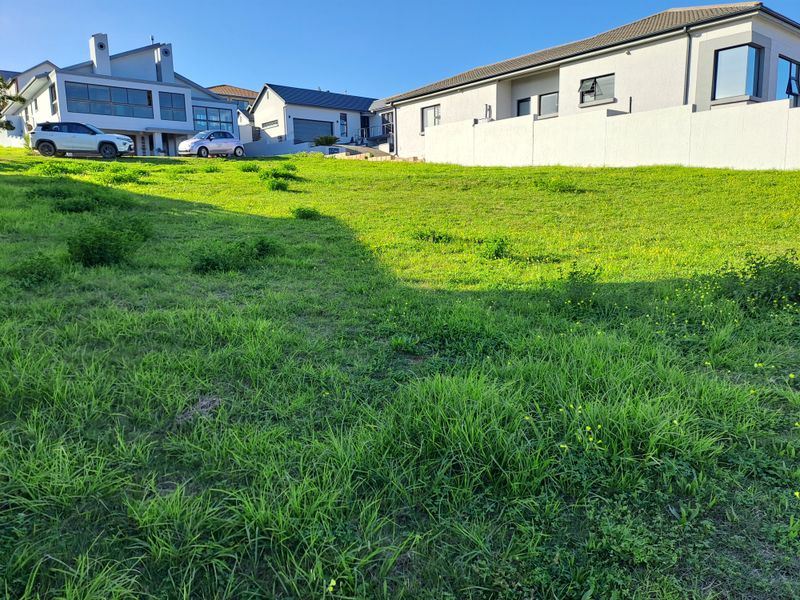 A view of a vacant residential plot featuring a sloped grassy area bordered by existing neighboring boundary walls and residential structures.