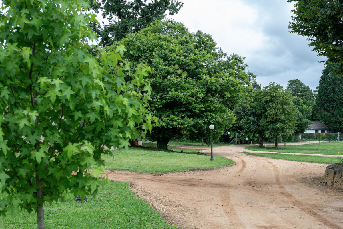 A scenic view of a well-maintained garden area featuring mature trees, a dirt driveway, and a stone retaining wall on a residential property.
