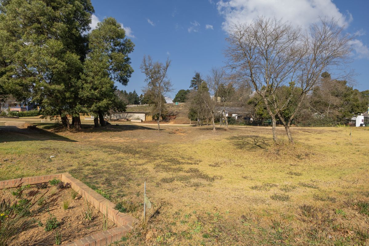 A view of a vacant residential plot featuring established trees and a low brick retaining wall border.