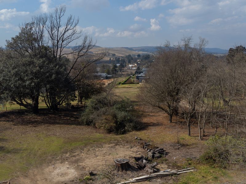 An aerial view of a vacant residential plot featuring mature trees and open landscape, offering potential for future development.