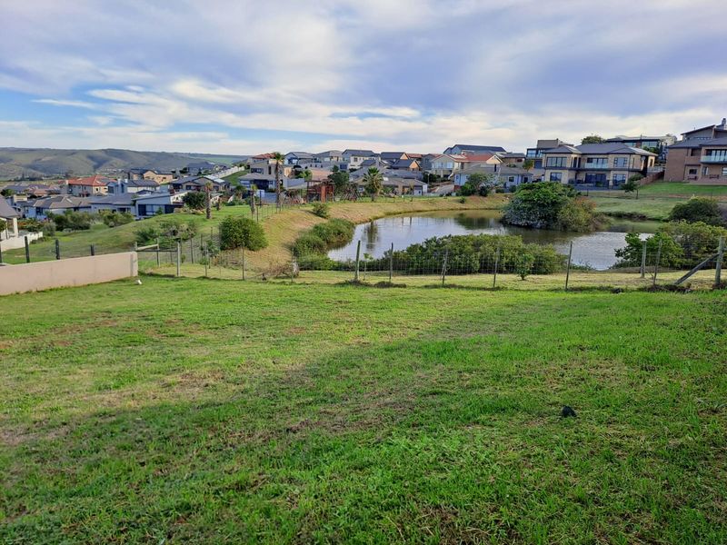 A scenic view of a residential estate featuring a landscaped pond, green lawn, and surrounding suburban homes.