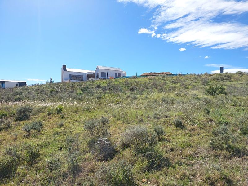 A view of the sloped residential land featuring native vegetation and surrounding fencing, with neighboring structures visible in the distance.