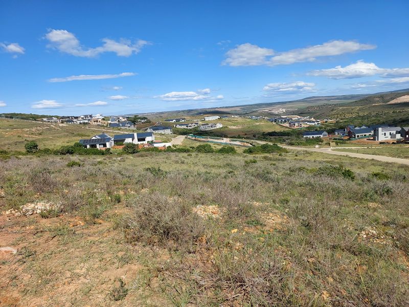 A wide-angle view of a residential estate development featuring natural landscape and surrounding homes.