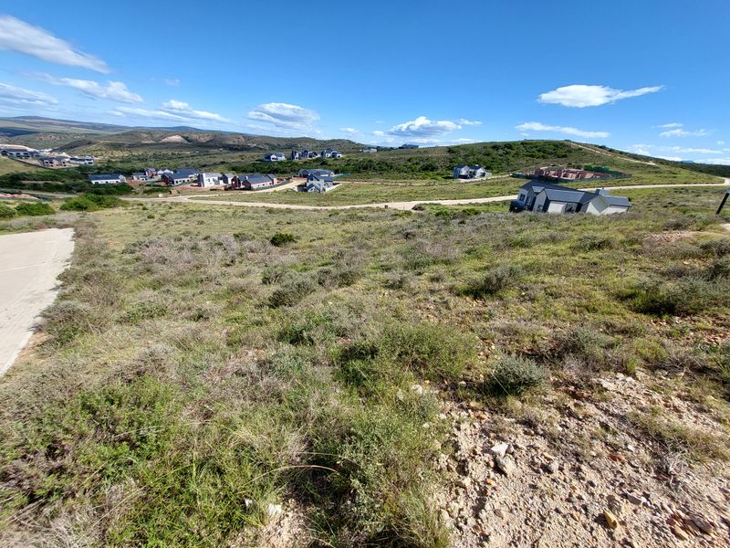 An elevated view of a vacant residential plot featuring natural vegetation and surrounding estate development.
