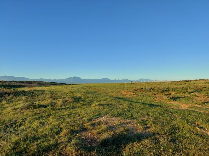 A scenic, expansive view of open grassland and natural landscape with distant mountain ranges under a clear blue sky.