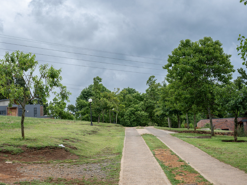 A view of a residential vacant land plot featuring a concrete driveway, established trees, and landscaped lawn area.