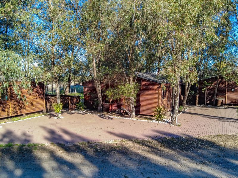 A view of timber-clad farm cabins set within a mature, tree-lined landscape with paved access paths.