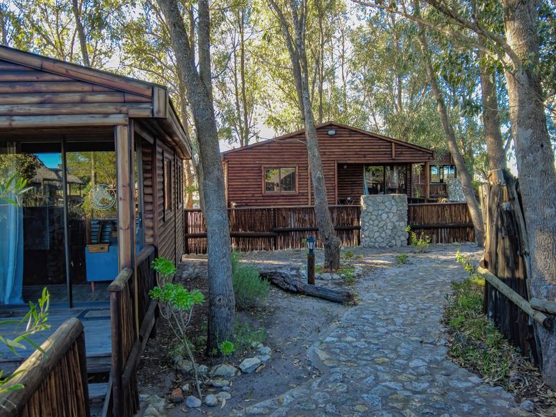 A view of rustic timber log cabins set within a wooded area, featuring stone pathways and natural landscaping.