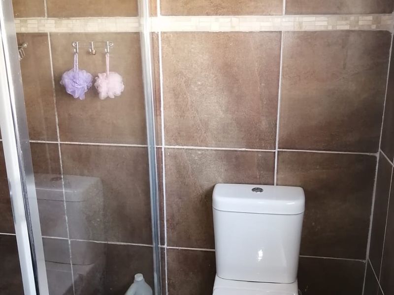 A functional bathroom featuring a glass shower enclosure, a standard toilet, and brown wall tiling with a decorative border.