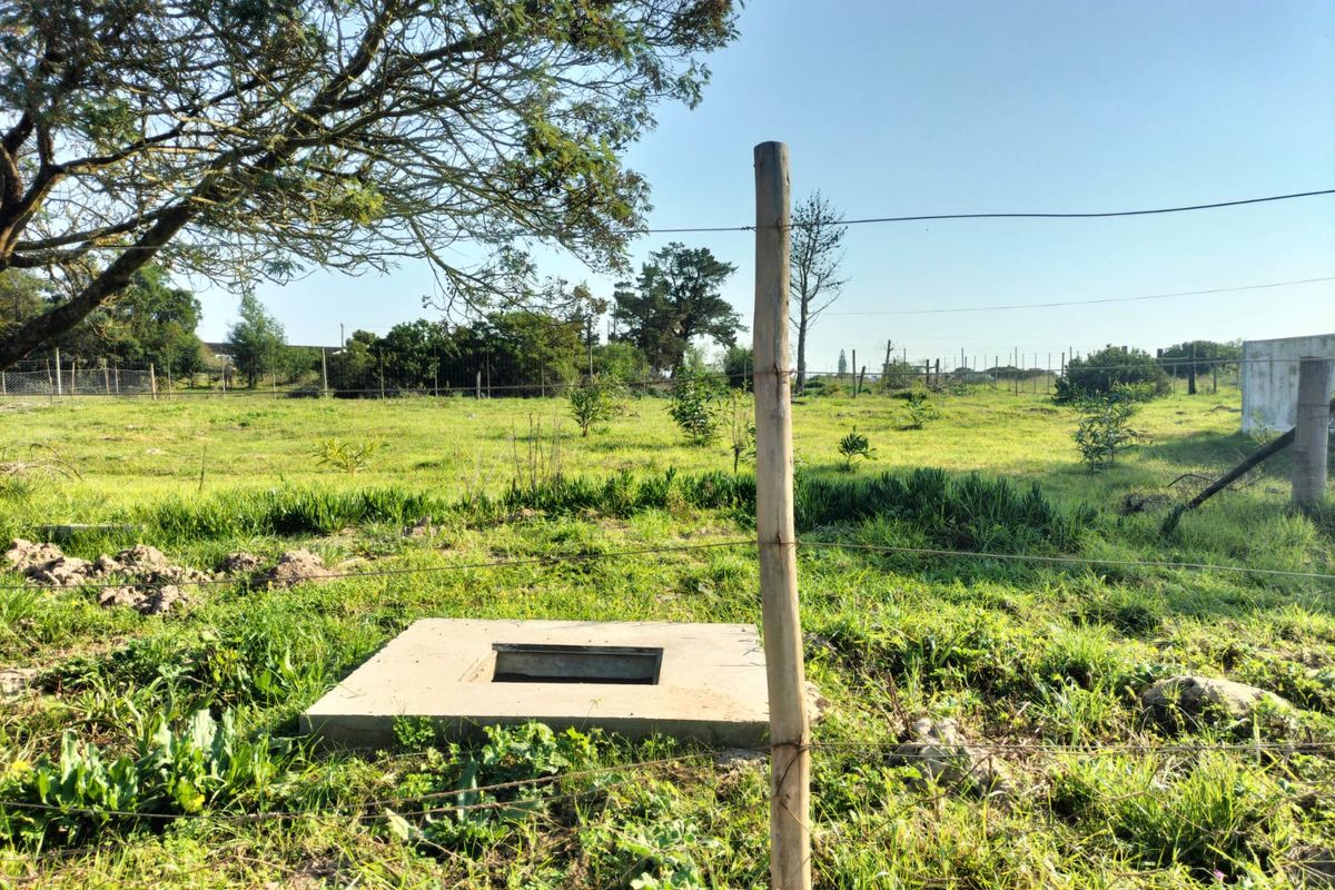 A view of a vacant residential plot featuring grassy terrain, mature trees, wire fencing, and a concrete inspection chamber.