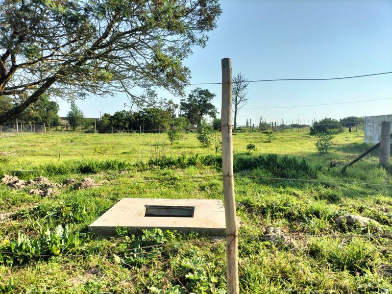 A view of a vacant residential plot featuring grassy terrain, mature trees, wire fencing, and a concrete inspection chamber.