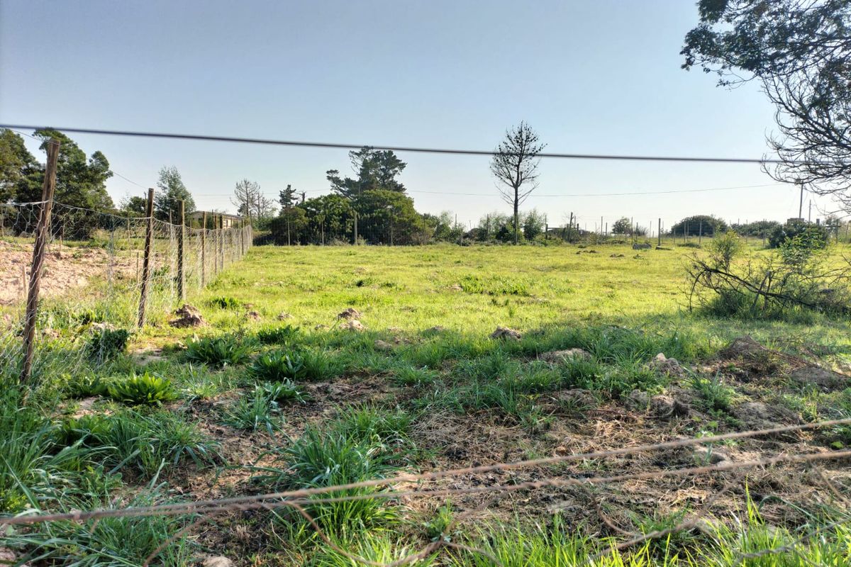 A view of a vacant residential plot featuring natural grassland and perimeter wire fencing.