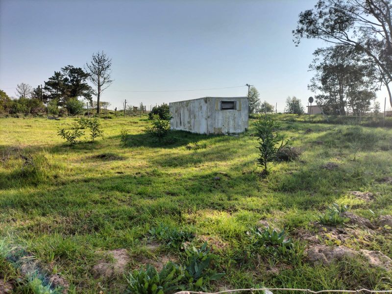 A vacant residential plot featuring grassy terrain, scattered vegetation, and a small, weathered utility structure on the property.