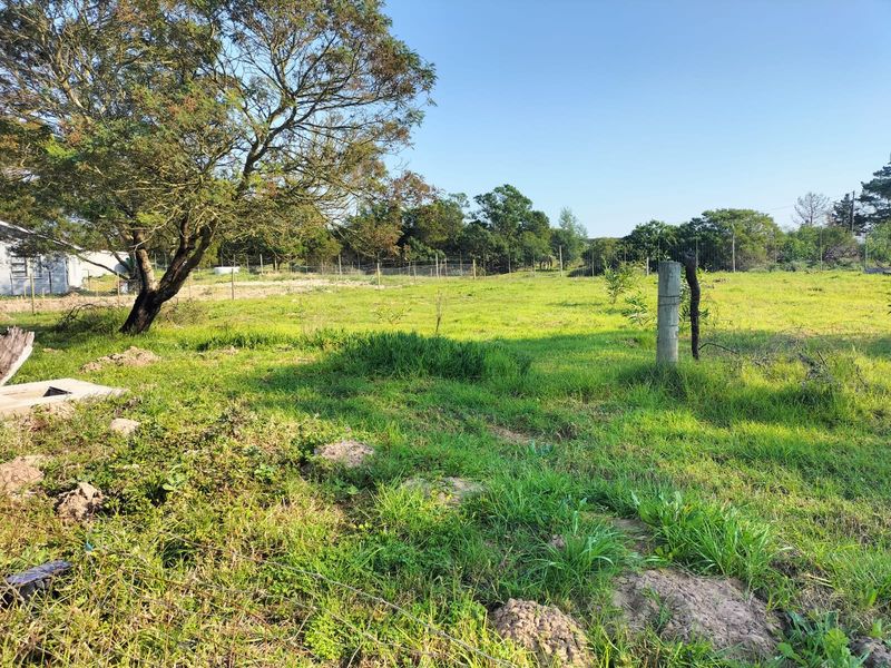 A spacious, grassy residential plot featuring mature trees and perimeter wire fencing, offering a clear, open area suitable for future development.