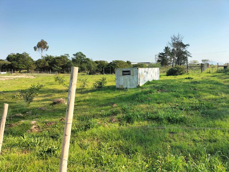 A vacant residential plot featuring grassy terrain, wire fencing, and a small, weathered storage structure on the property.