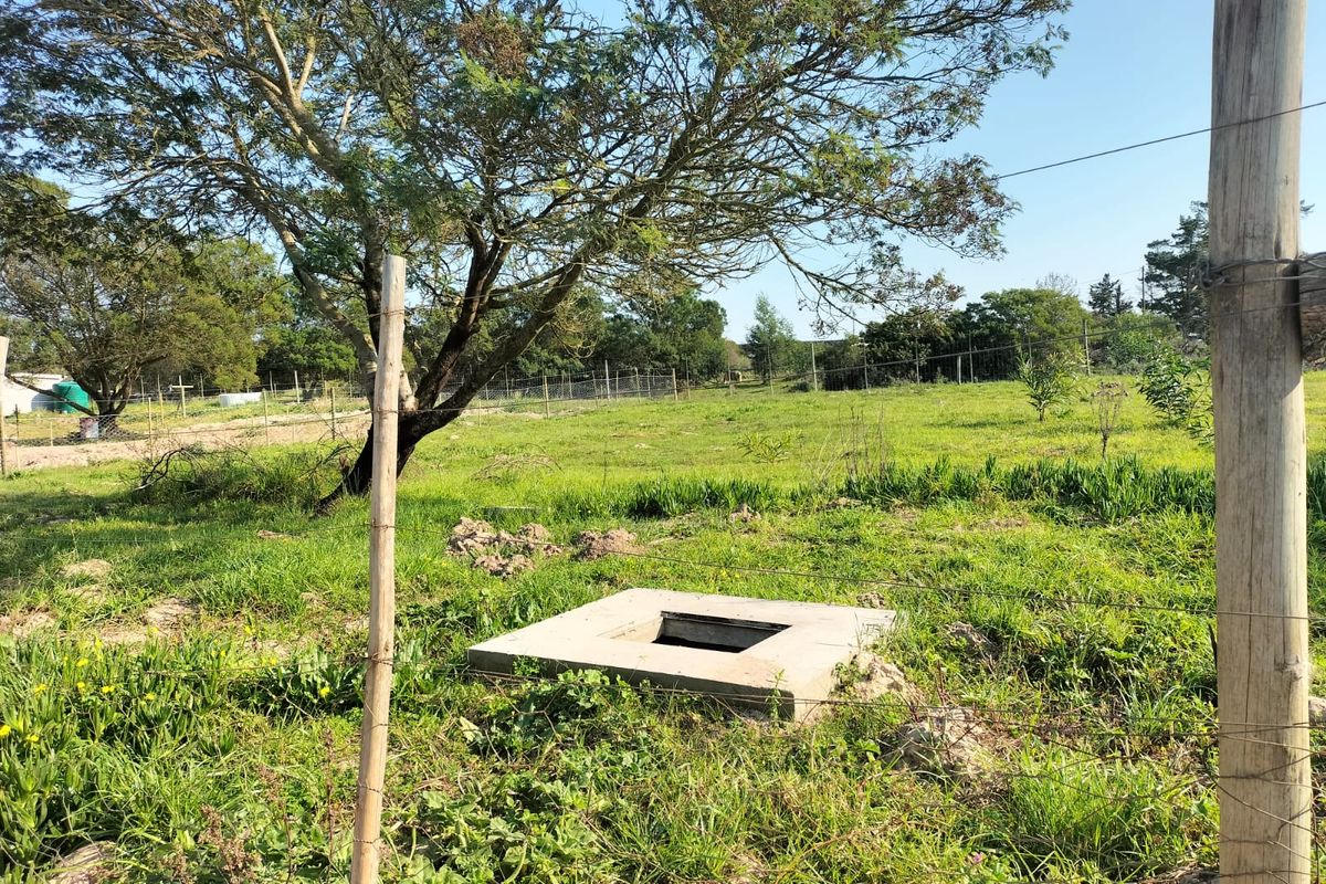 A view of a vacant residential plot featuring a concrete inspection chamber, wire fencing, and established trees on the property.