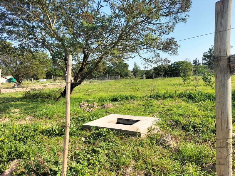 A view of a vacant residential plot featuring a concrete inspection chamber, wire fencing, and established trees on the property.
