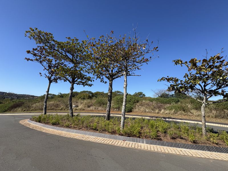 A view of the paved street and landscaped verge featuring mature trees, showcasing the well-maintained infrastructure of the residential land area.