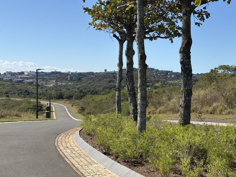 A view of a paved residential street within a landscaped estate, featuring mature trees, concrete curbing, and street lighting.