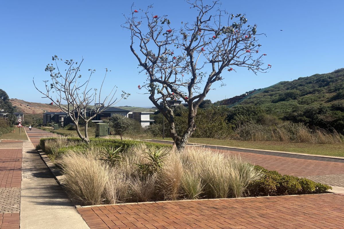 A view of the paved street and landscaped verge featuring mature trees and established plantings within a residential estate setting.