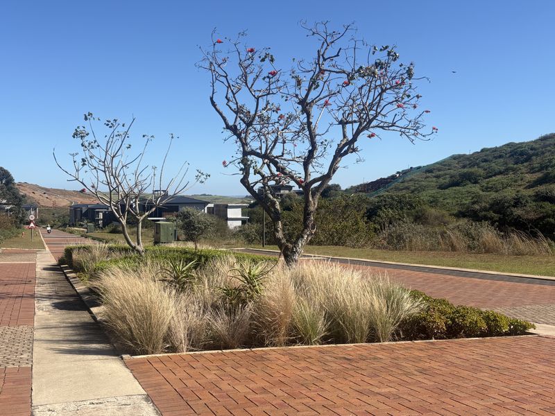 A view of the paved street and landscaped verge featuring mature trees and established plantings within a residential estate setting.