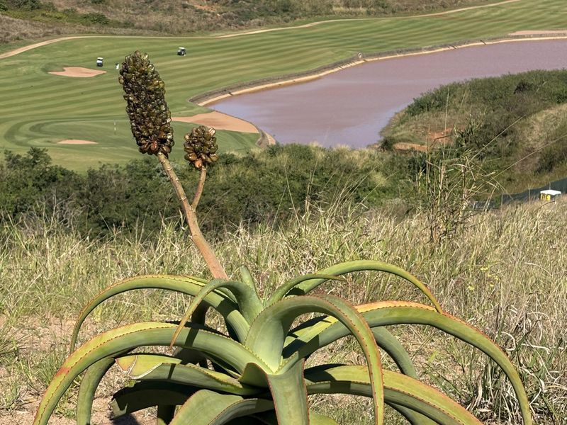 Scenic elevated view overlooking a golf course and water feature, showcasing the natural landscape of the residential land.