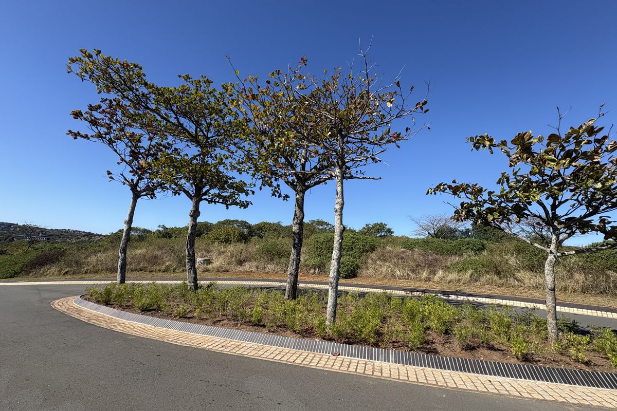 A view of the paved street and landscaped verge featuring mature trees, showcasing the well-maintained infrastructure of the residential land area.