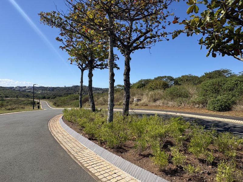 A view of a well-maintained residential street featuring paved roads, cobblestone curbing, and mature trees within a landscaped estate environment.