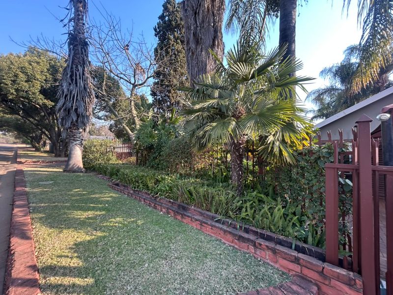 A well-established garden area featuring mature palm trees, landscaped garden beds, and traditional brick edging along the perimeter fencing.