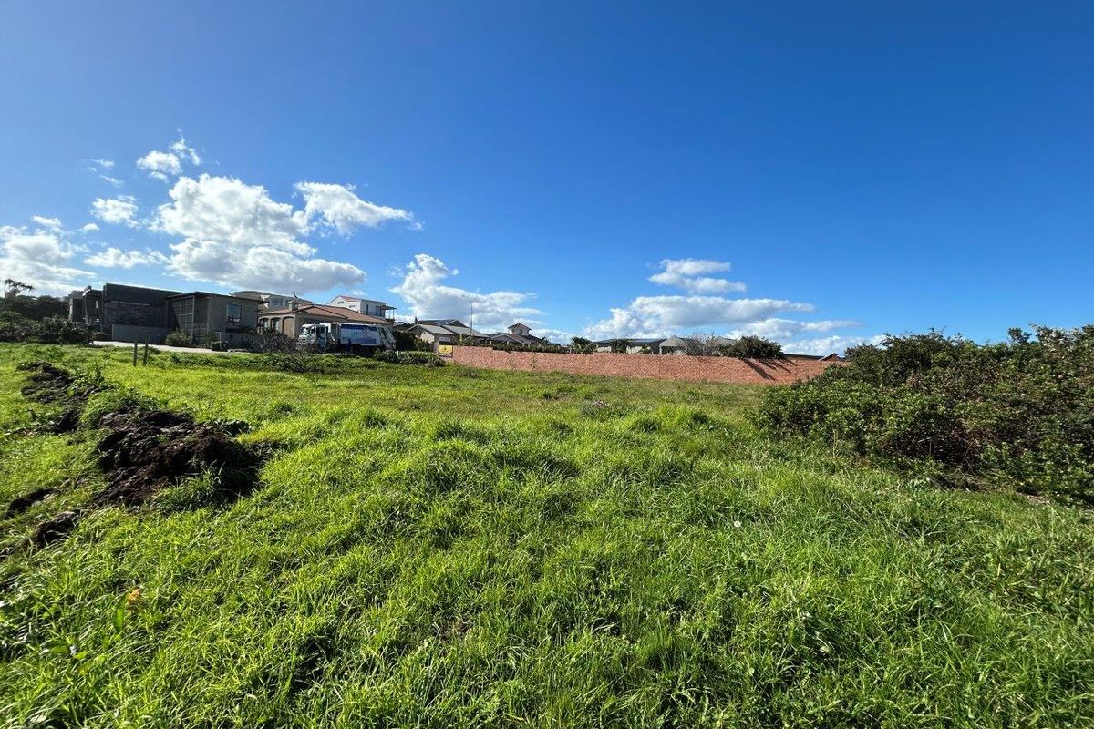 A vacant residential plot featuring grassy terrain and a boundary wall, situated in a developed neighborhood.