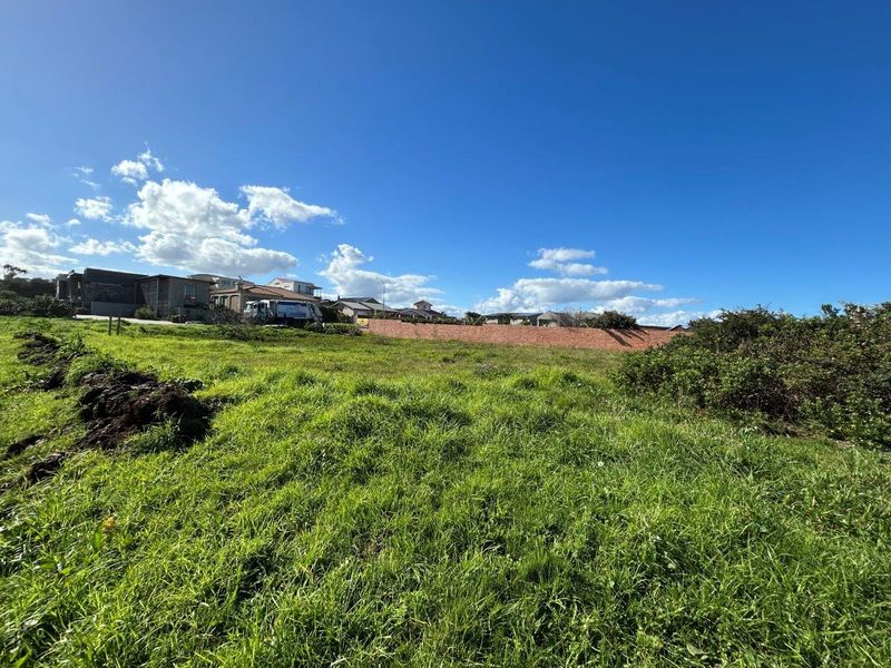 A vacant residential plot featuring grassy terrain and a boundary wall, situated in a developed neighborhood.