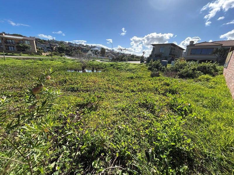 A view of a vacant residential plot featuring overgrown vegetation and a boundary wall, situated in a developed neighborhood.