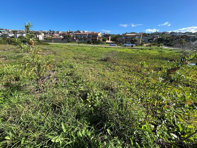 A view of a vacant residential plot of land with natural vegetation, situated in a developed neighborhood.