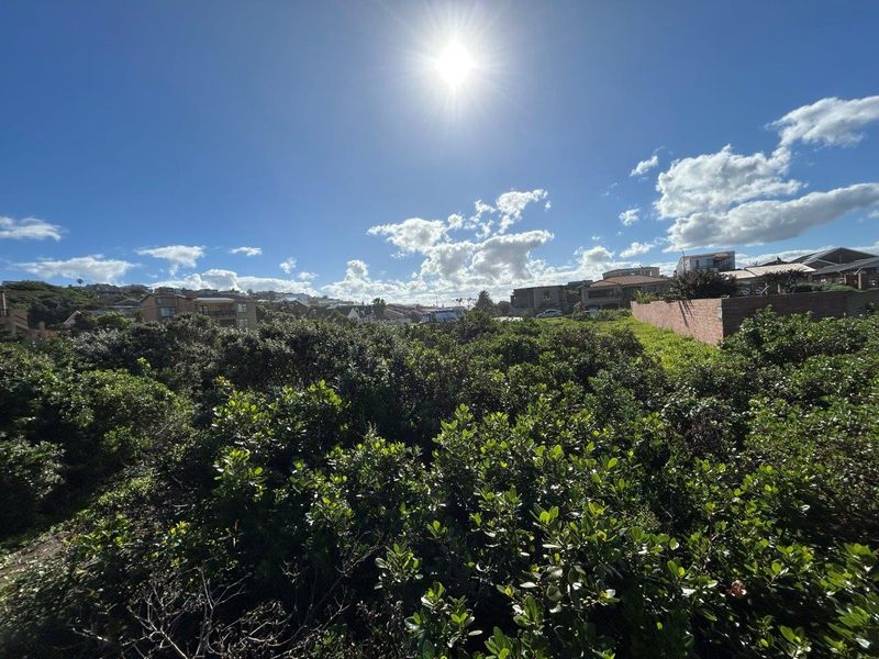 A view of a vacant residential plot featuring dense natural vegetation and a brick boundary wall, situated within a developed neighborhood.