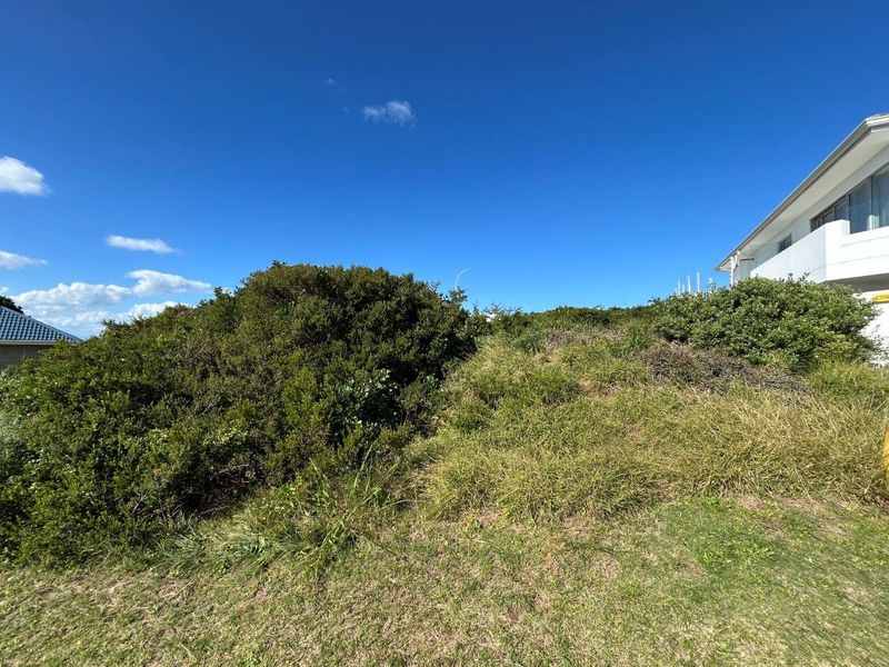 A view of the vacant residential land featuring natural vegetation and a sloped landscape adjacent to an existing property.