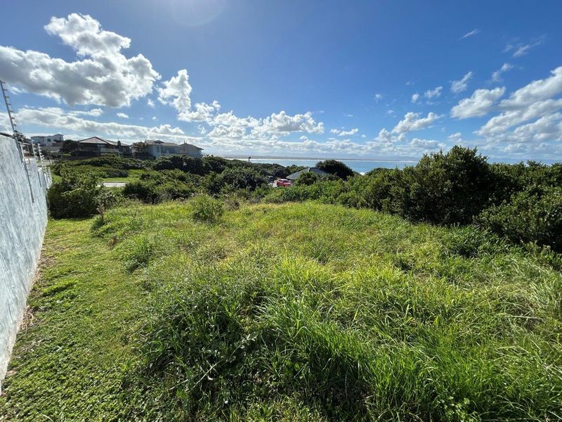A view of the vacant residential land featuring natural vegetation, a boundary wall with electric fencing, and distant coastal scenery.