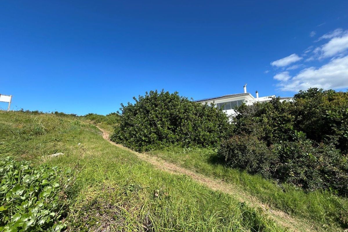 A view of the sloped, grassy terrain and native vegetation leading up towards the rear elevation of the residential property.