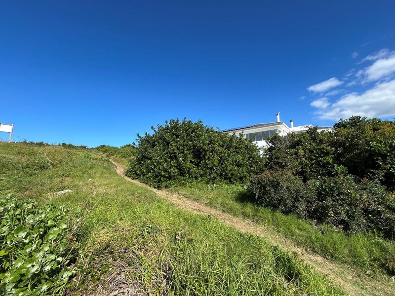 A view of the sloped, grassy terrain and native vegetation leading up towards the rear elevation of the residential property.