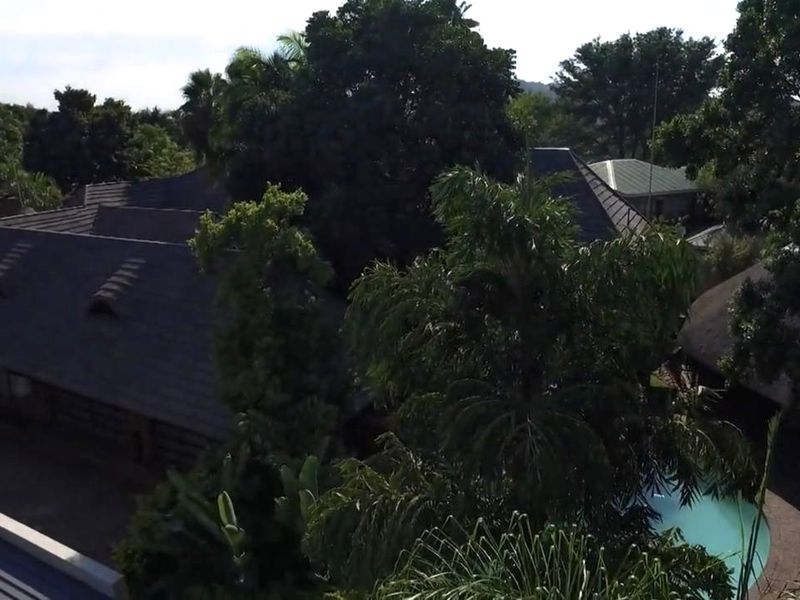 Aerial view of the property showcasing the roof structure, surrounding mature trees, and a swimming pool area.