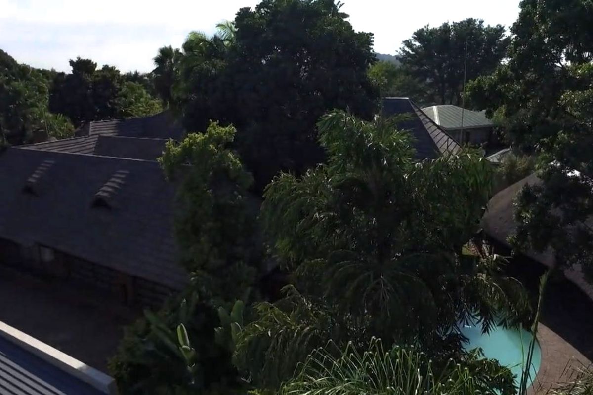 Aerial view of the property showcasing the roof structure, surrounding mature trees, and a swimming pool area.
